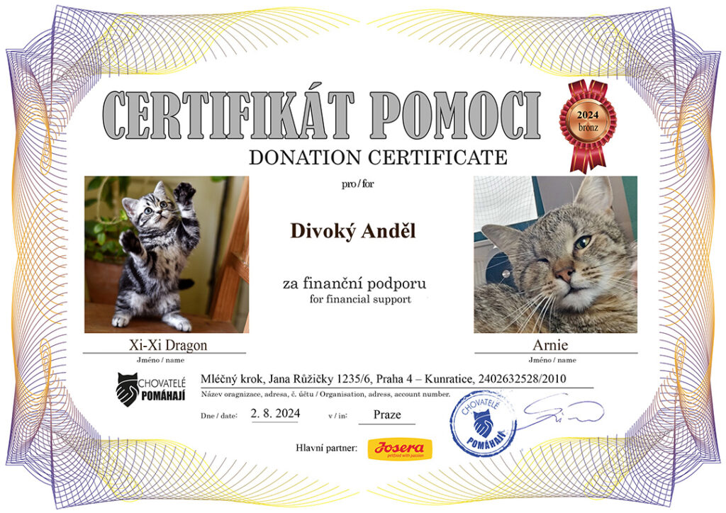 Xi-Xi Dragon – Arnie