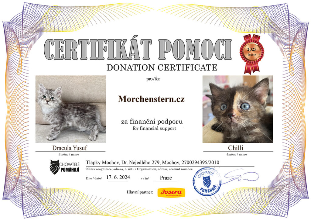 Dracula Yusuf – Chilli