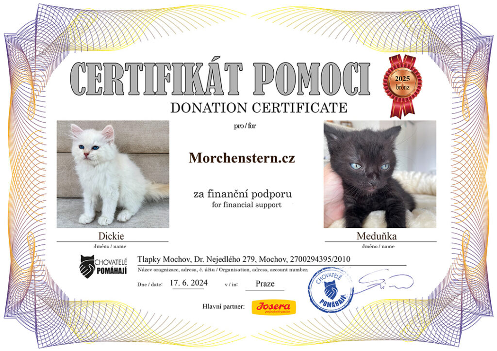 Dickies – Meduňka